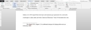 Footnotes Microsoft Word