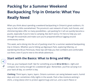 An example of a blog post generated by AI.