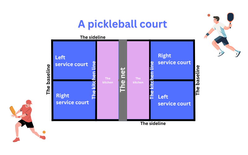 Pickleball terms for a pickleball court