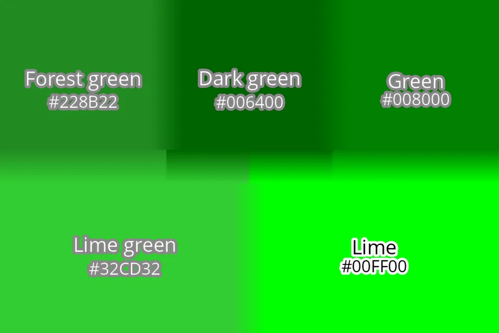 Forest green hex code